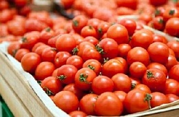 Отмена санкций против Турции ударит по российскому бизнесу